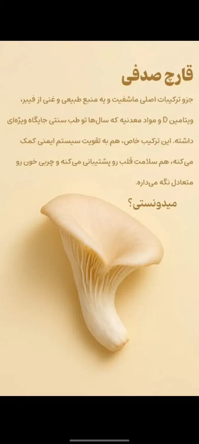 ماش فیت  پروتئین|خوردنی و آشامیدنی|سنندج, |دیوار