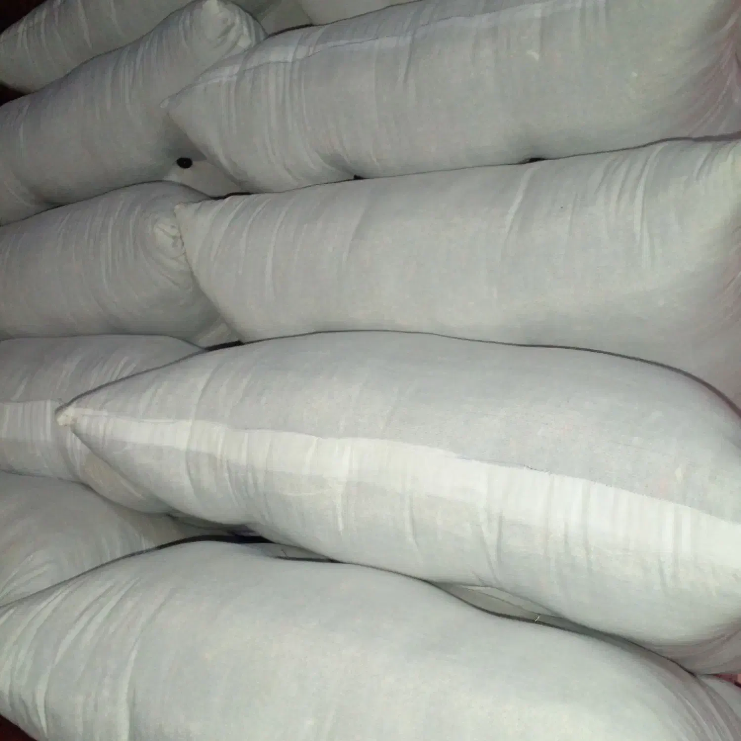 تولیدی پشتی|پشتی|میناب, |دیوار