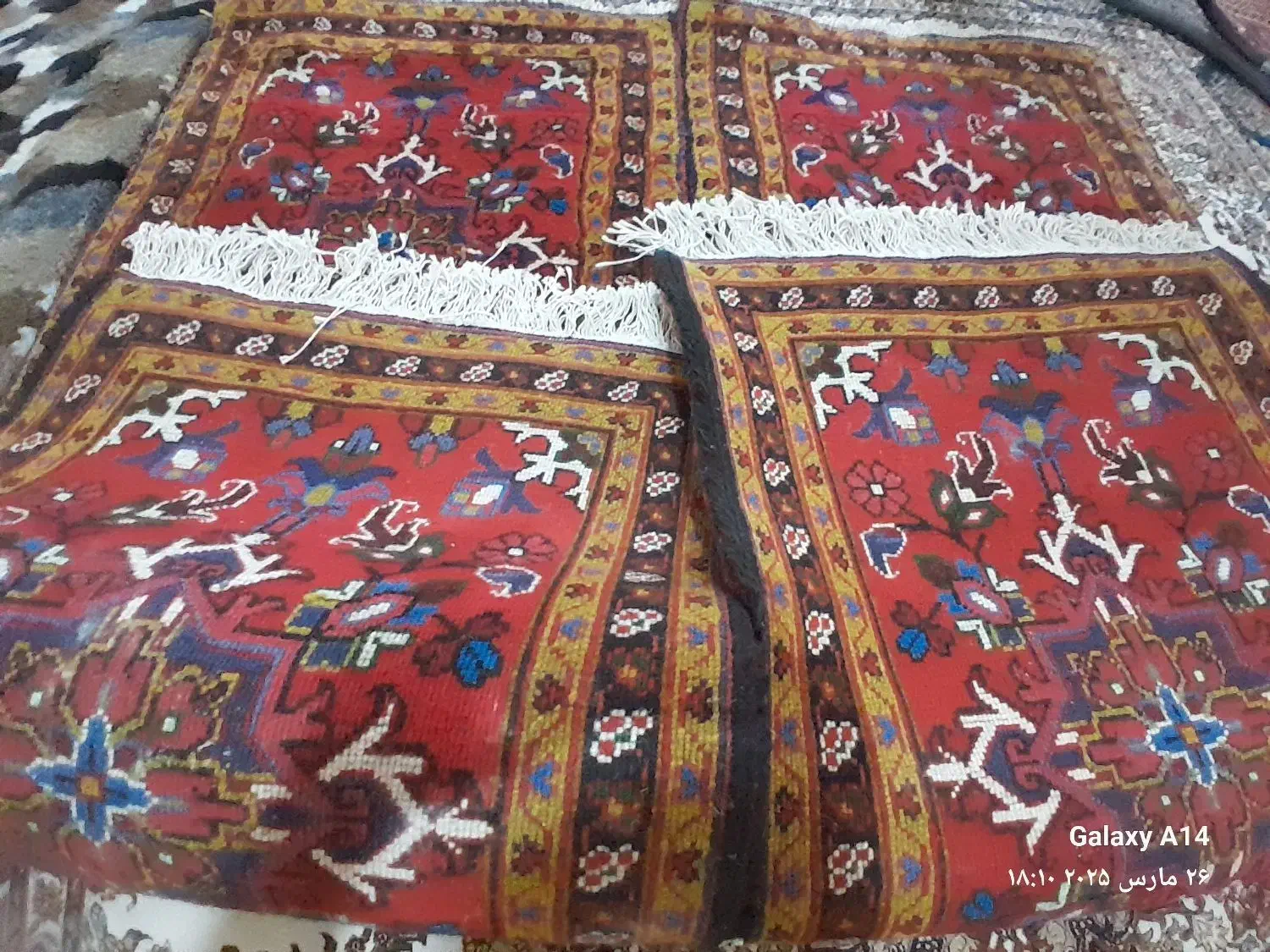 فرش دستباف|فرش|اهر, |دیوار