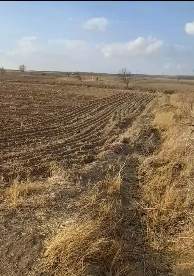 فروش باغ|فروش زمین و ملک کلنگی|صالح آباد, |دیوار