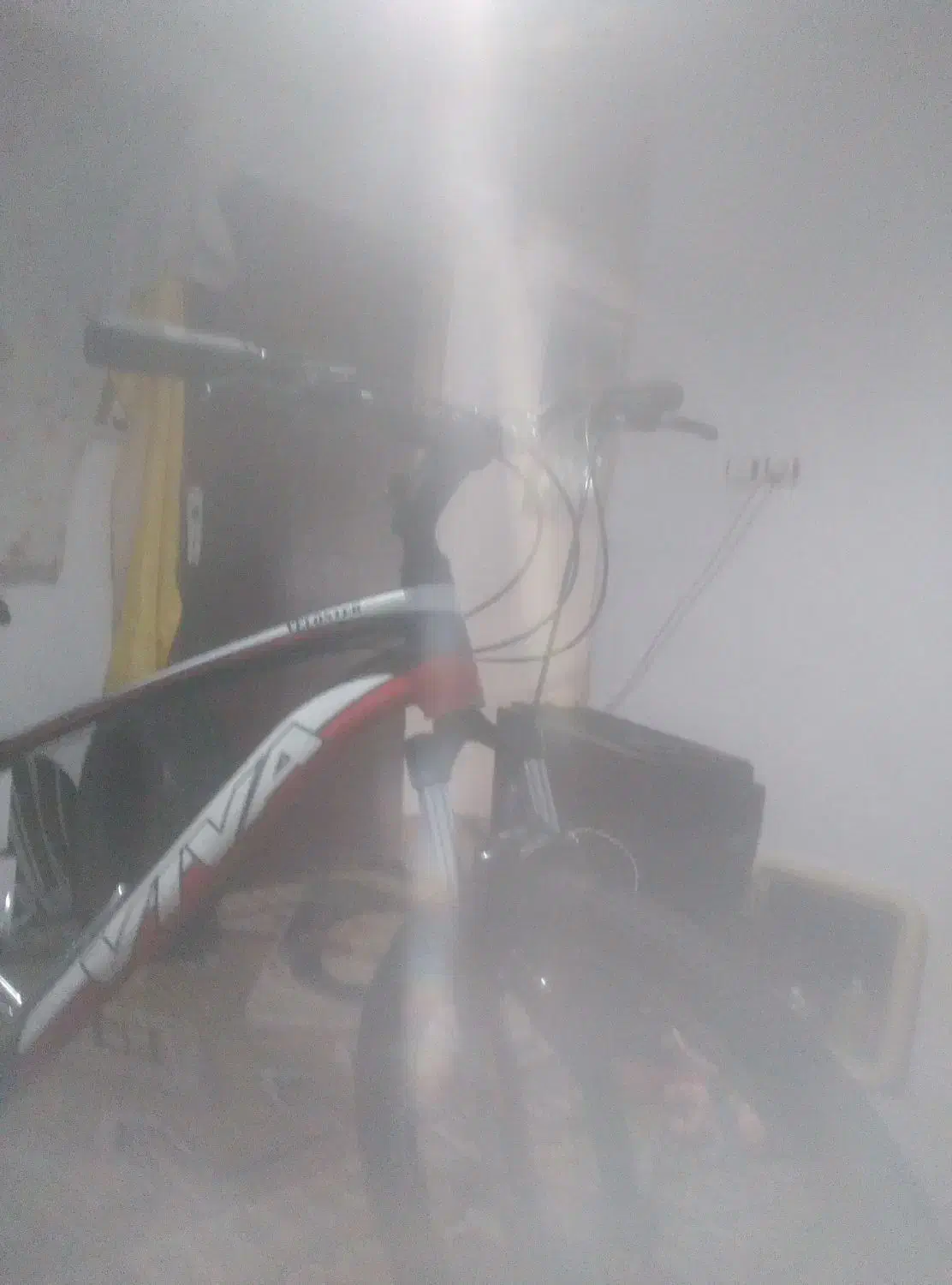 دوچرخه ویوا (اصل ویوا)|دوچرخه، اسکیت، اسکوتر|آستارا, |دیوار