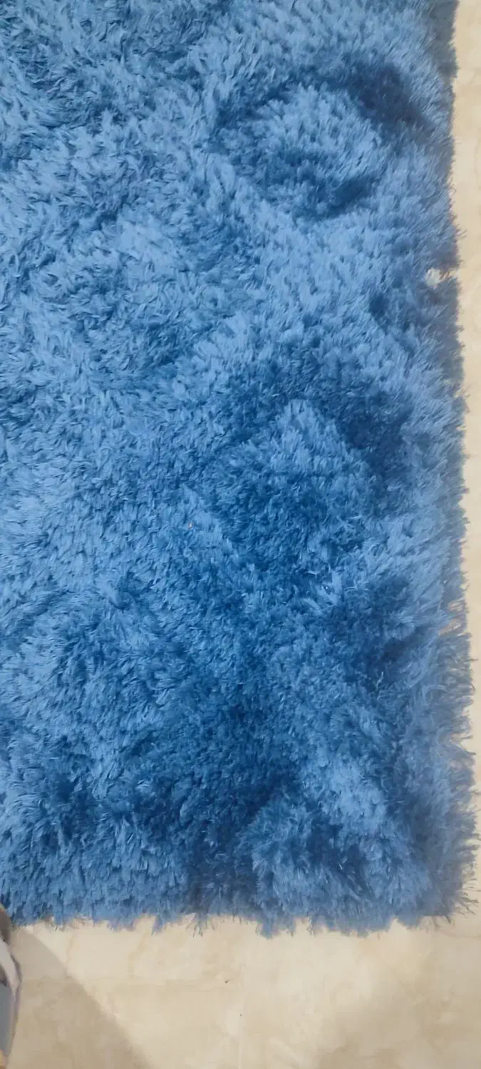 فرش|فرش|بندرعباس, |دیوار