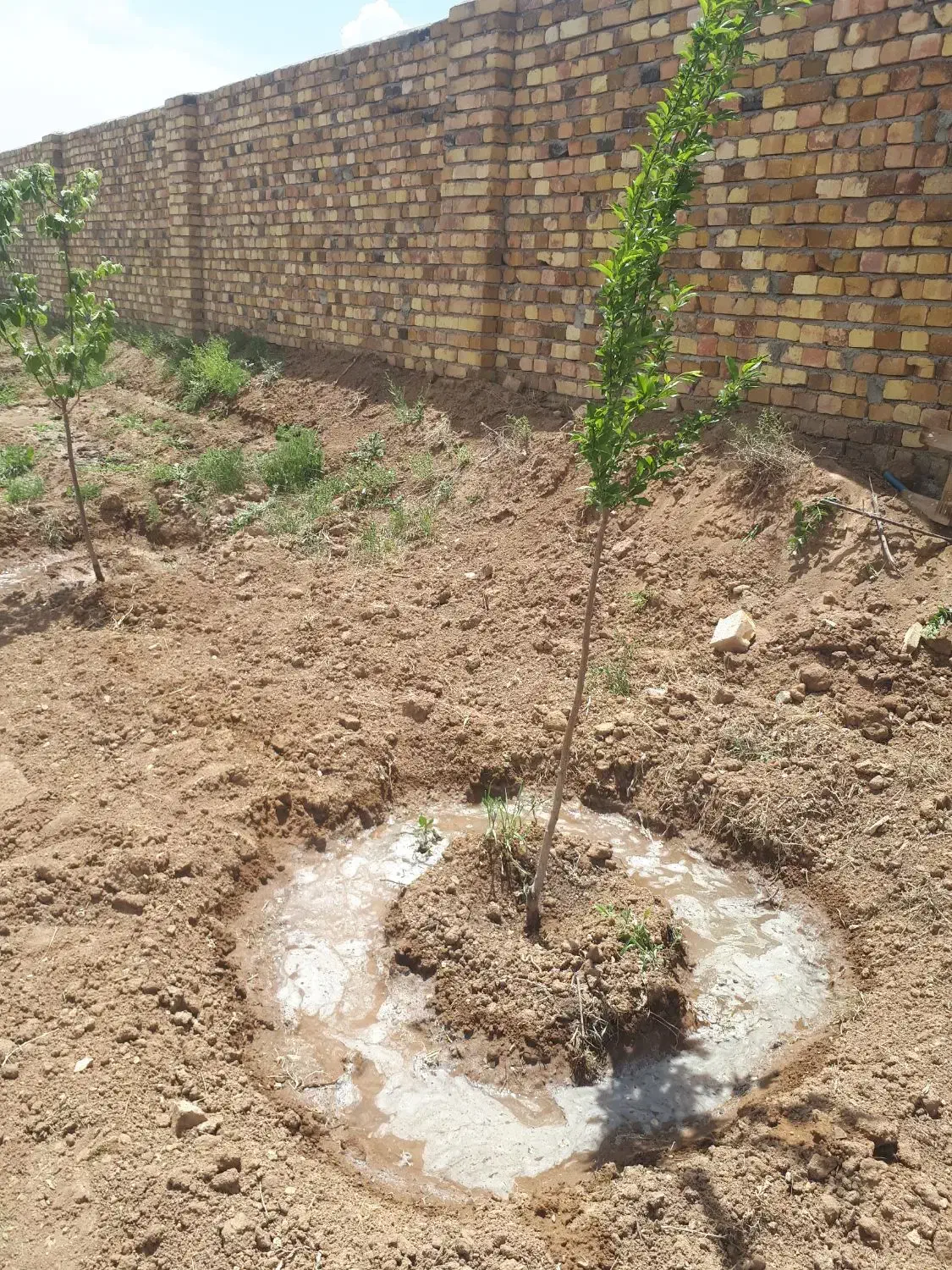 باغ ویلا فروشی|فروش خانه و ویلا|فرمهین, |دیوار