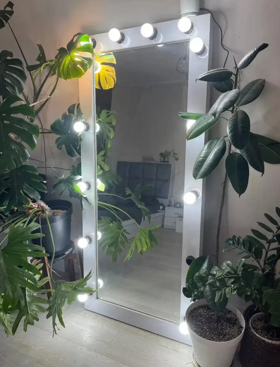 آینه هالیوودی نو|آینه|زابل, |دیوار