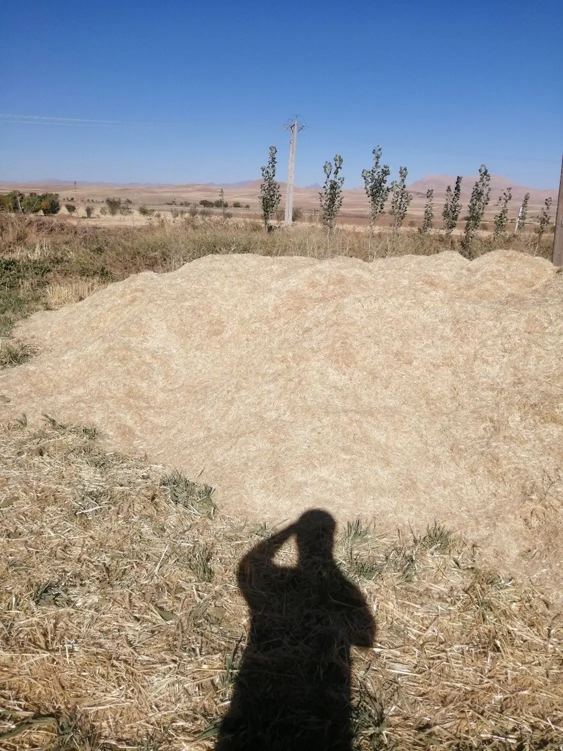 کاه ابی|خدمات باغبانی و درختکاری|کلیائی, |دیوار