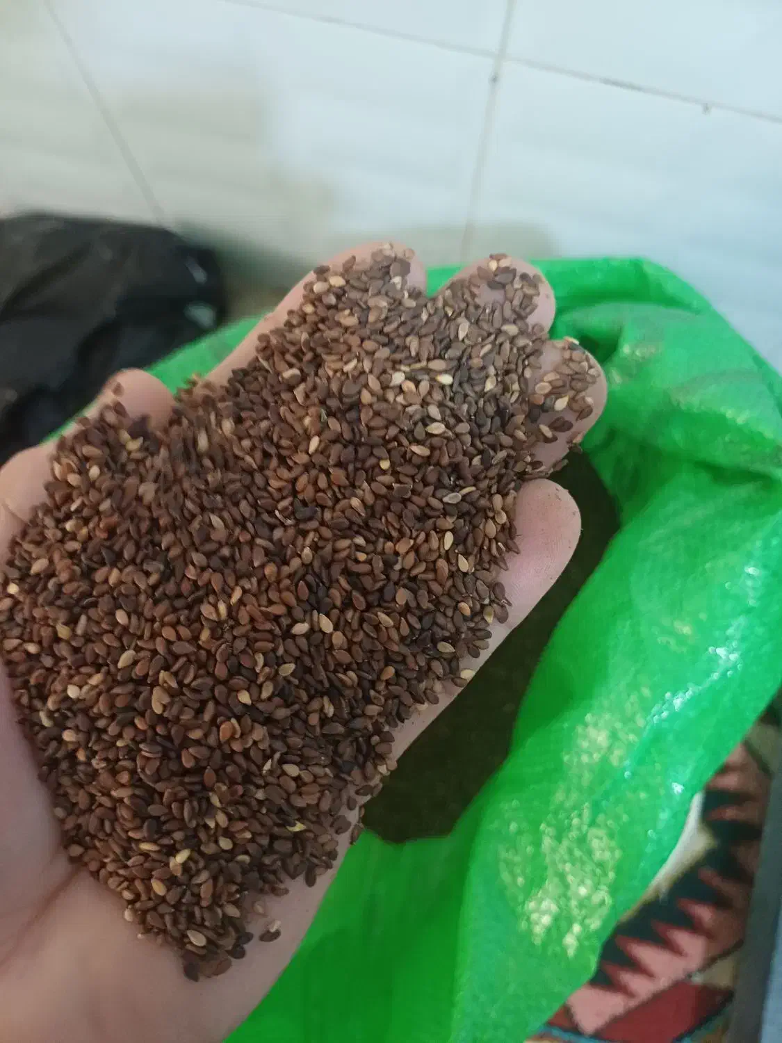 کنجد|خوردنی و آشامیدنی|پلدختر, |دیوار