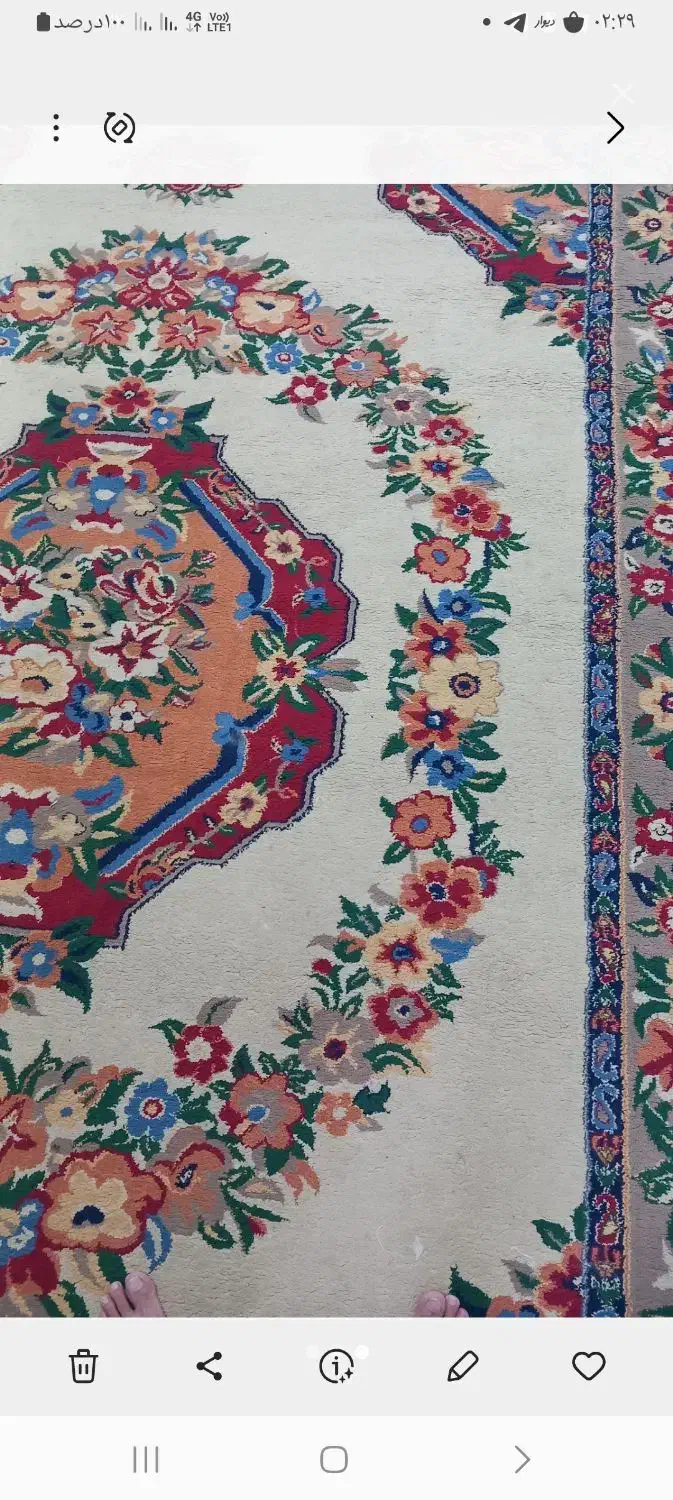 گلیم فرش|گلیم، جاجیم، گبه|زاهدان, |دیوار