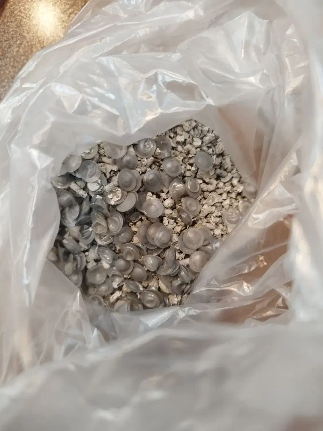 خرید پسماند آمالگام|خدمات آرایشگری و زیبایی|تربتحیدریه, باغ ملی|دیوار