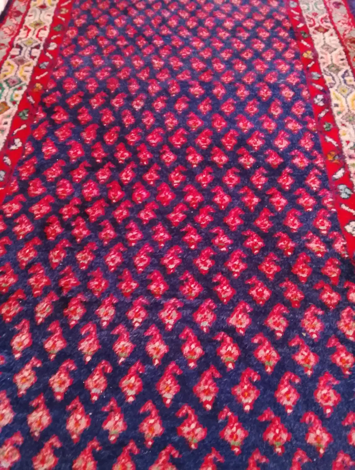 قالی دست باف|فرش|بروجرد, |دیوار