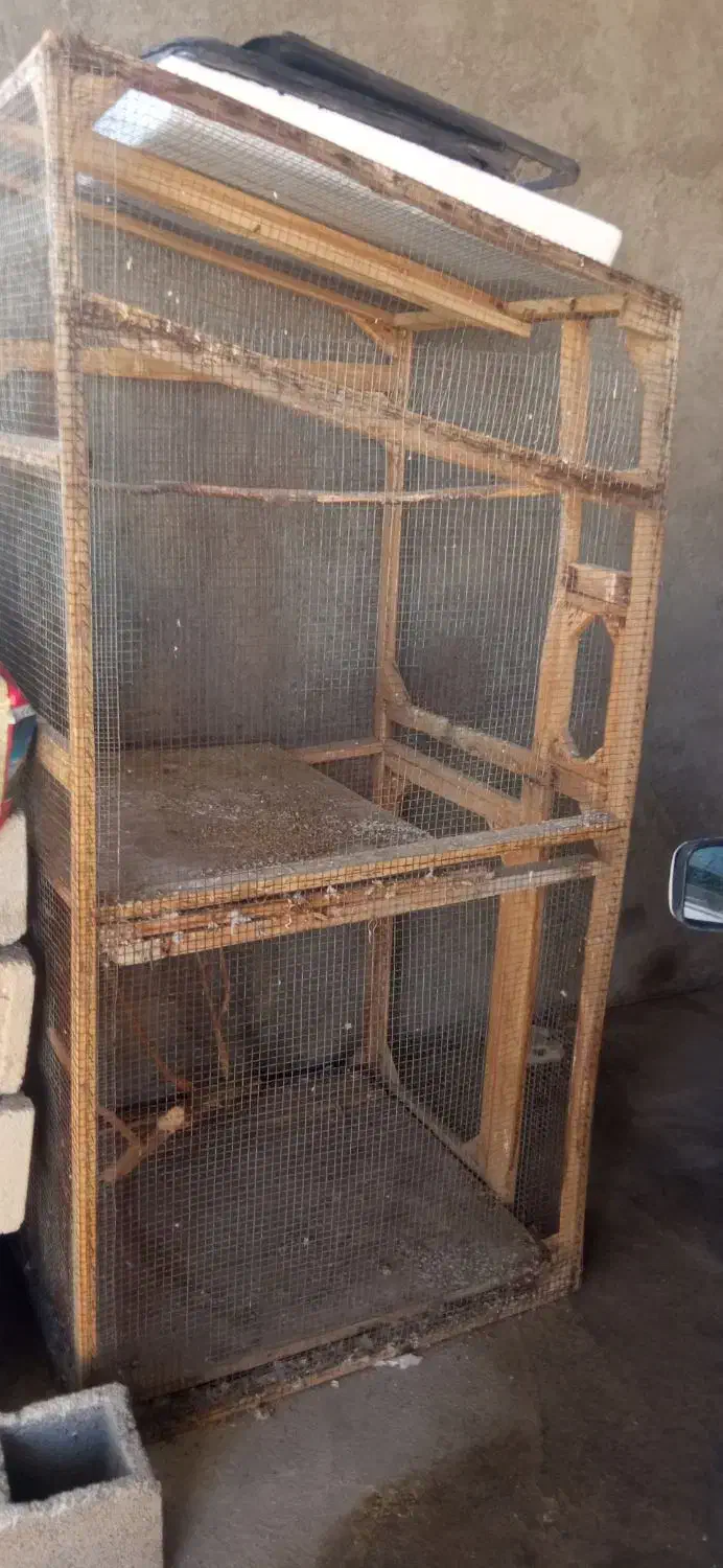 قفس|لوازم جانبی حیوانات|جهرم, |دیوار