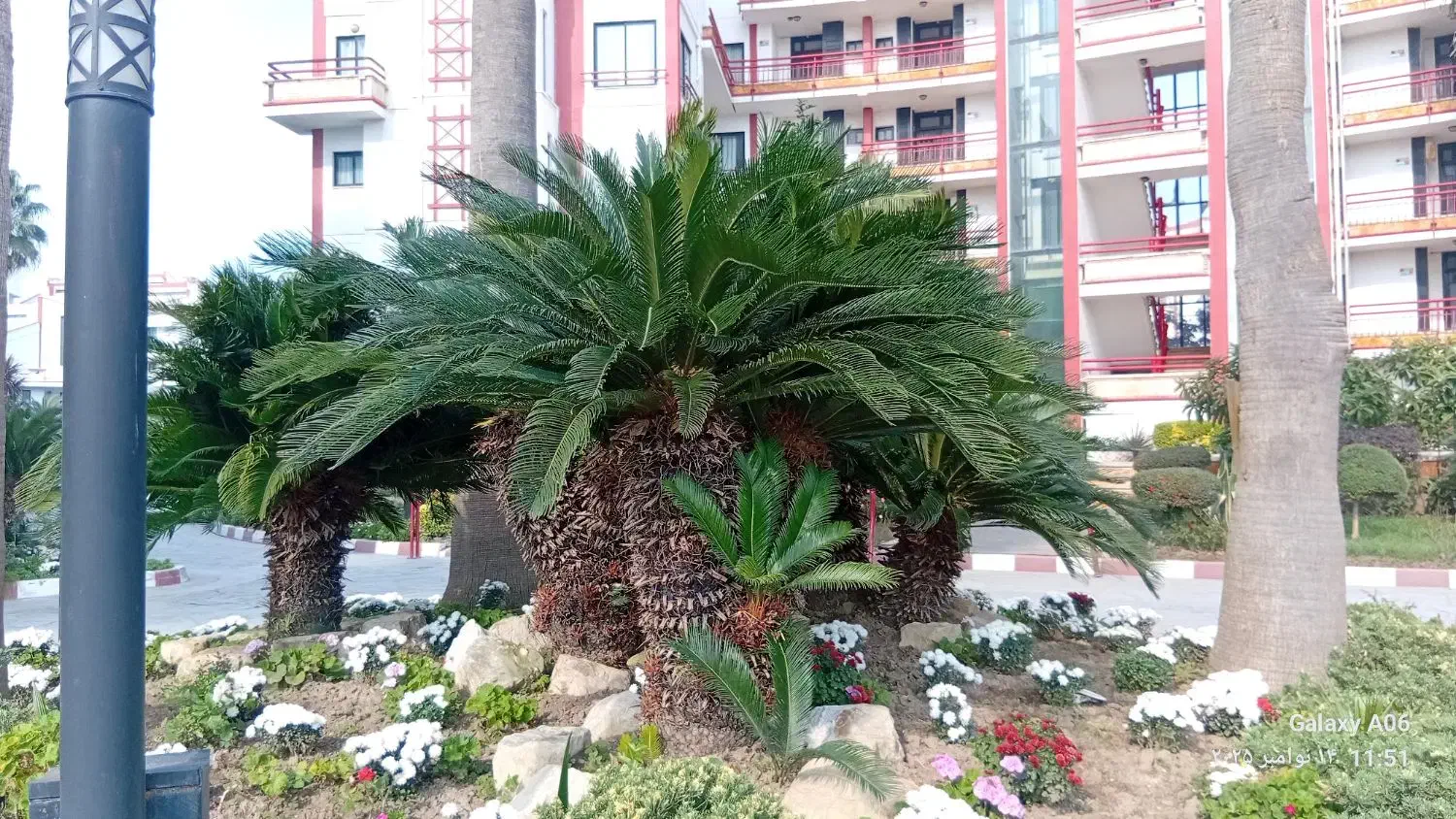 فضای سبز باغ ویلا|خدمات باغبانی و درختکاری|مرزیکلا, |دیوار