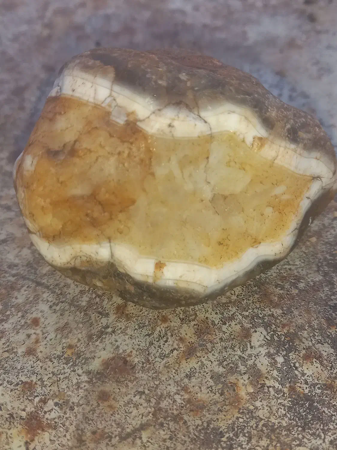 سنگ شجر سلیمانی|کلکسیون اشیاء عتیقه|فسا, |دیوار