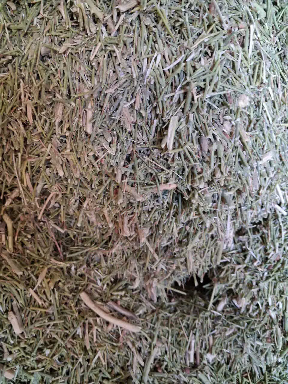 خارشتر|لوازم جانبی حیوانات|رضویه, |دیوار