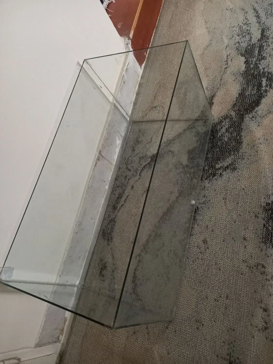 آکواریوم|ماهی|سبزوار, نواب صفوی|دیوار