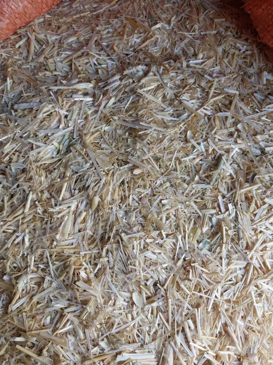 کاه گندم دیم|خدمات باغبانی و درختکاری|گرمخان, |دیوار