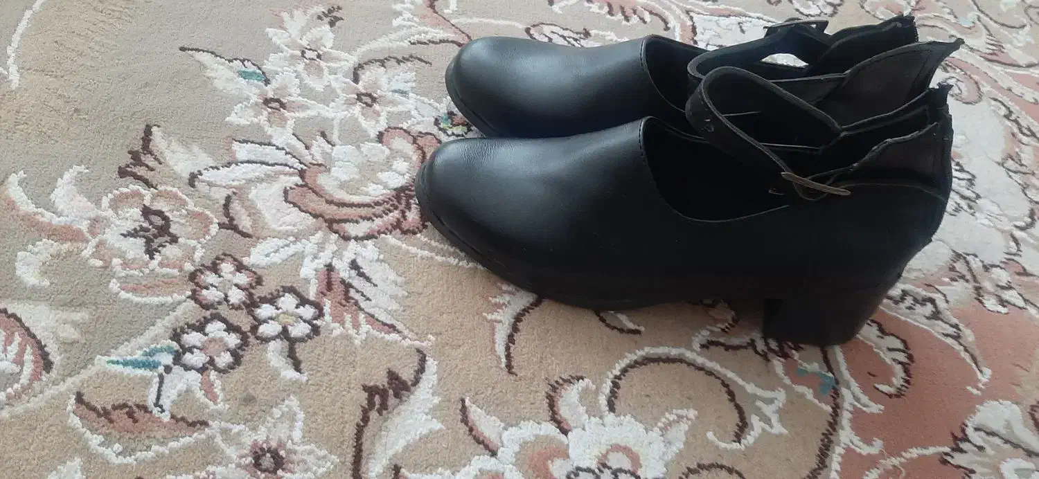 کفش|کیف، کفش، کمربند|ایلام, |دیوار