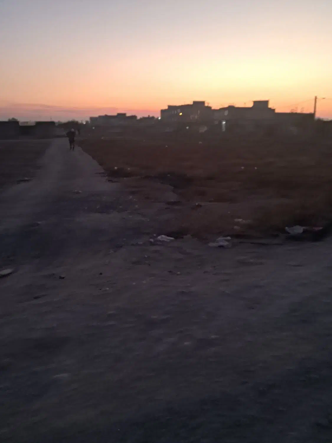 زمین زراعی مرکز شهر|فروش زمین و ملک کلنگی|محمدشهر, یزدیها|دیوار