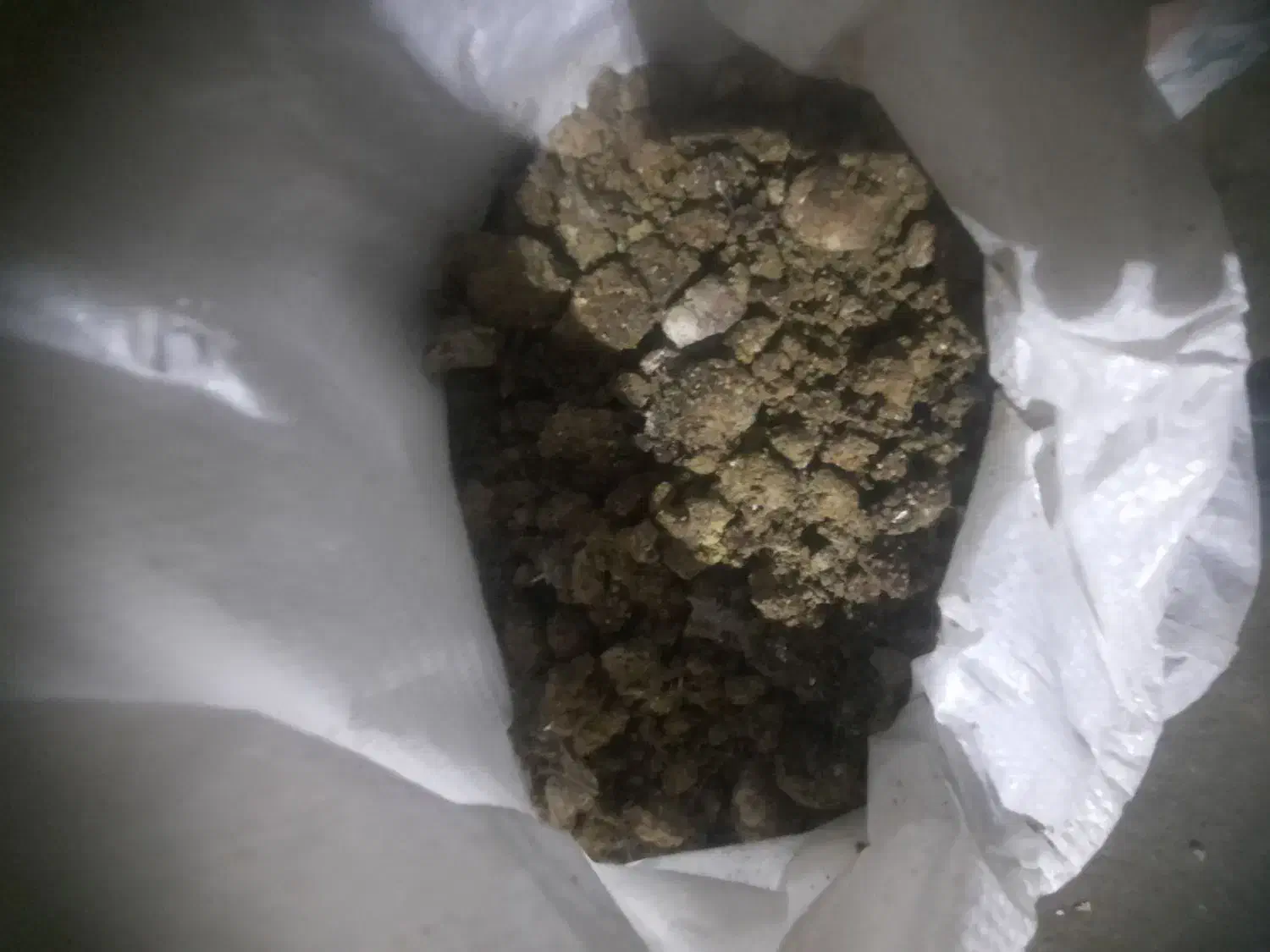 کود مرغ|گل و گیاه طبیعی|رباط‌کریم, شهرستانک|دیوار