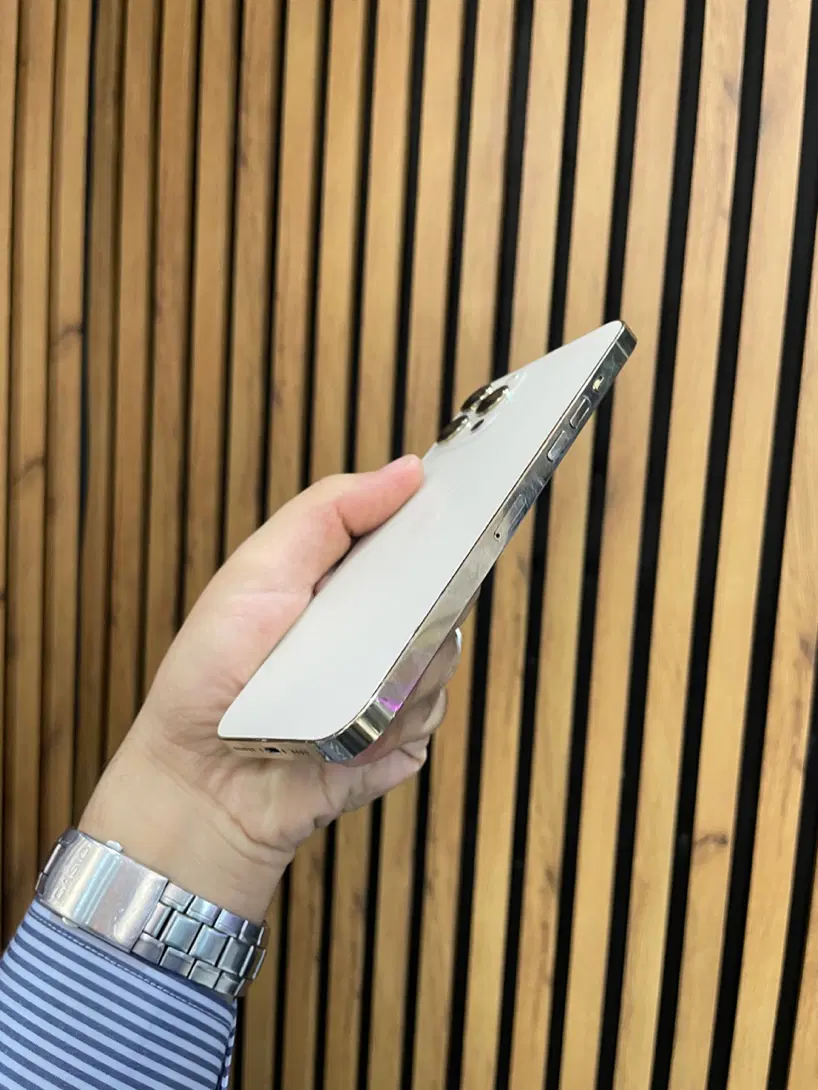 iPhone 12 promax|موبایل|کرج, گوهردشت|دیوار