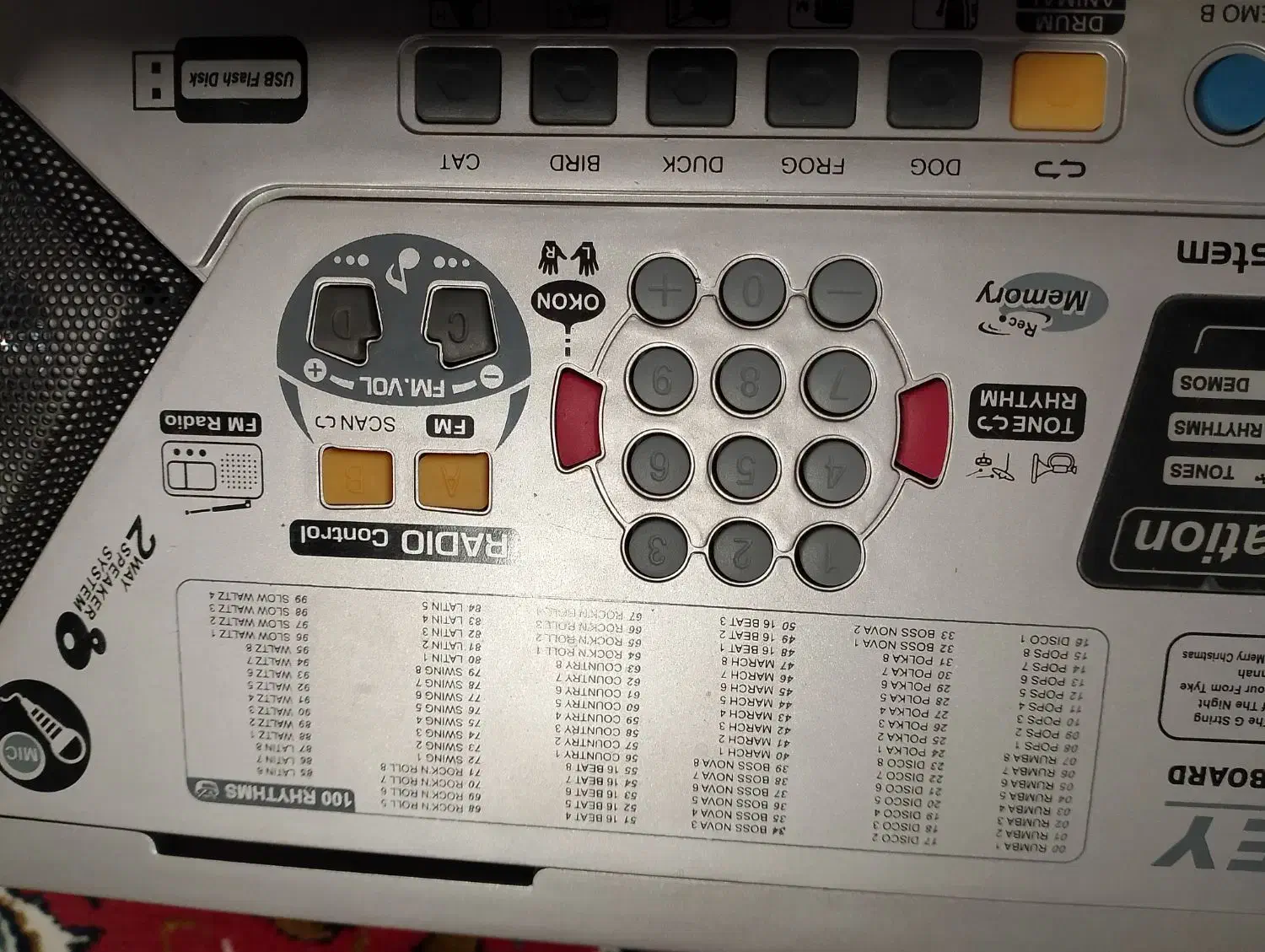 ارگ موسیقی الکترونیک در بم|پیانو، کیبورد، آکاردئون|بم, |دیوار