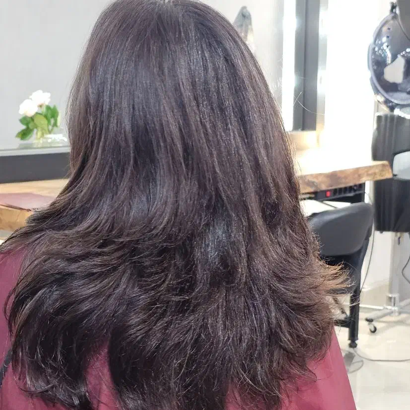 تخفیف رنگ و لایت و کوتاهی  آذرماه|خدمات آرایشگری و زیبایی|تربت جام, نظامی|دیوار