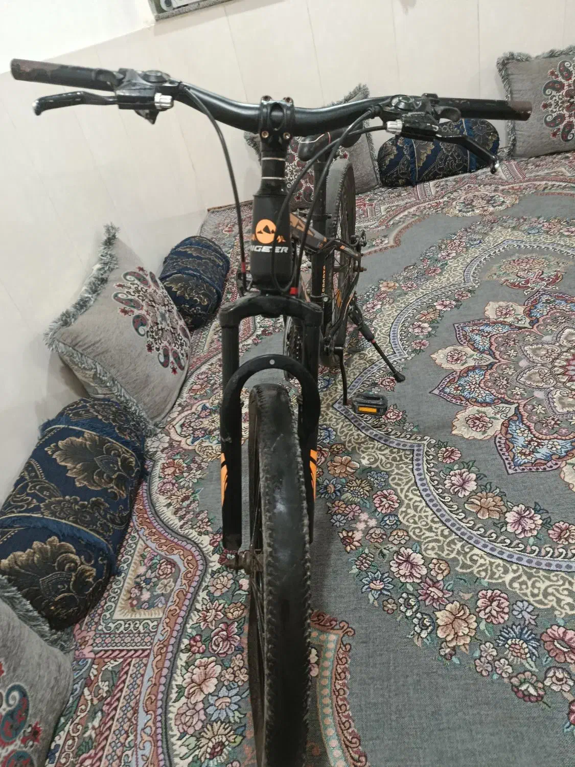 دوچرخه دنده ای سایز 24|دوچرخه، اسکیت، اسکوتر|بندر دیر, |دیوار