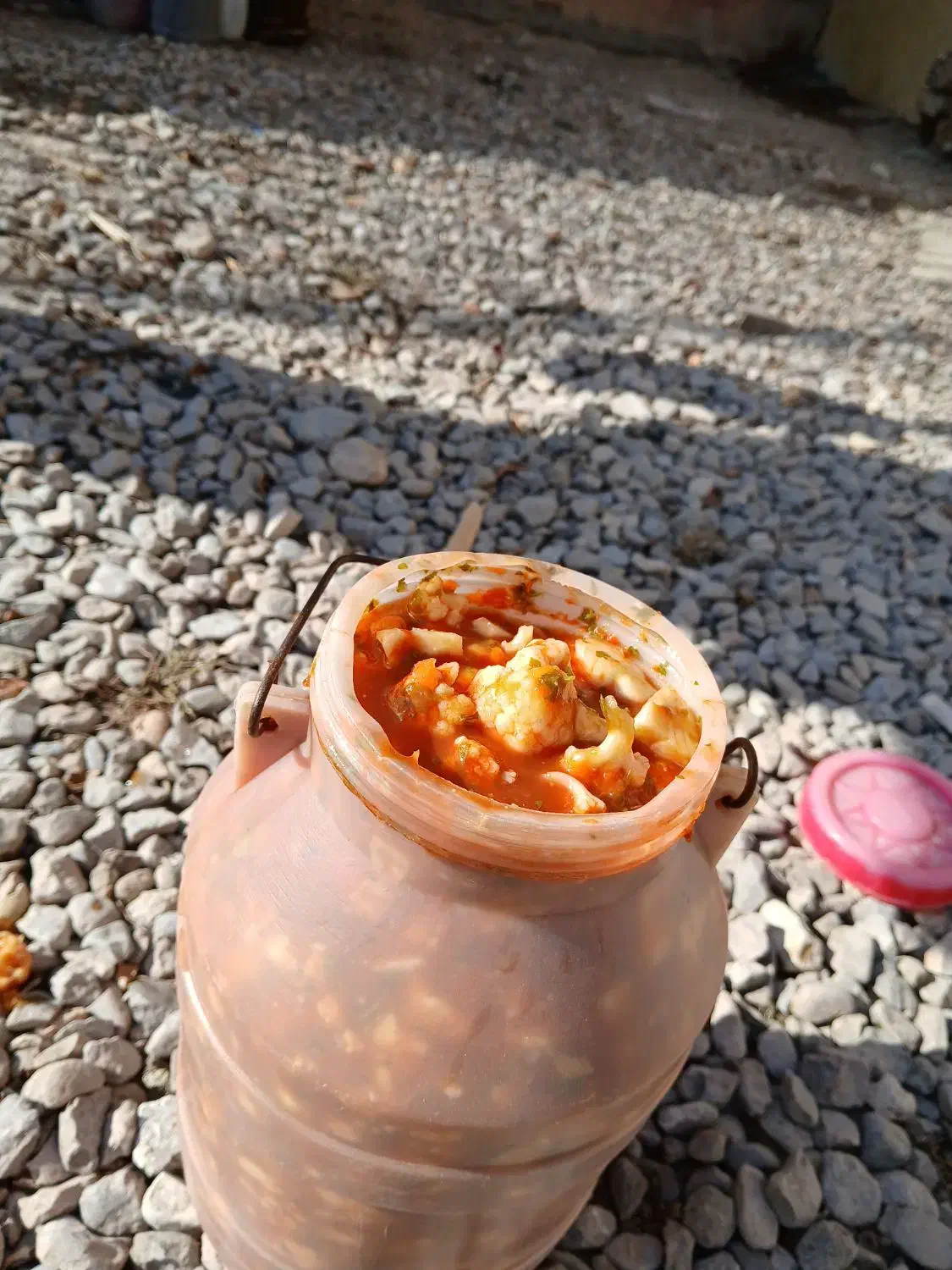 حراج سالاد زمستانی|حراج|قوچان, |دیوار