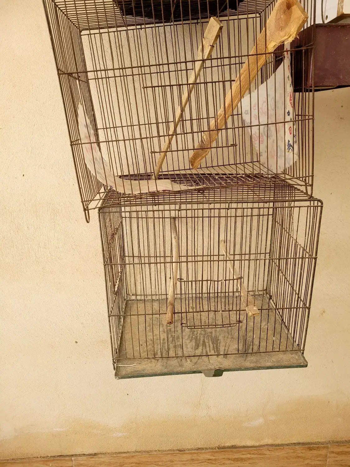 قفس و لونه مرغ عشق و طوطی|لوازم جانبی حیوانات|بابل, |دیوار