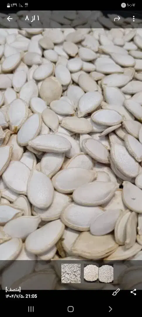 تخمه کدو|خوردنی و آشامیدنی|اصفهان, ابر|دیوار