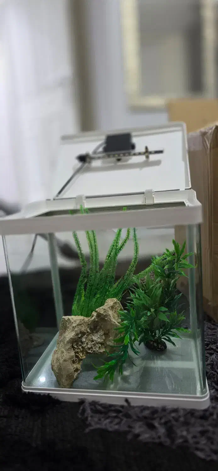 آکواریوم دلسا k320|ماهی|شیراز, مسکن مهر شیراز|دیوار