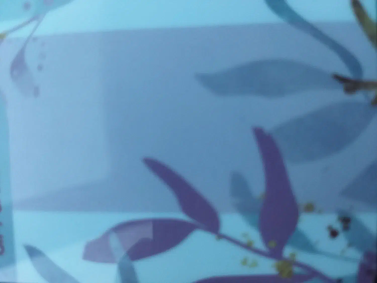 استخدام در موسسه خیریه|استخدام اداری و مدیریت|اردبیل, |دیوار