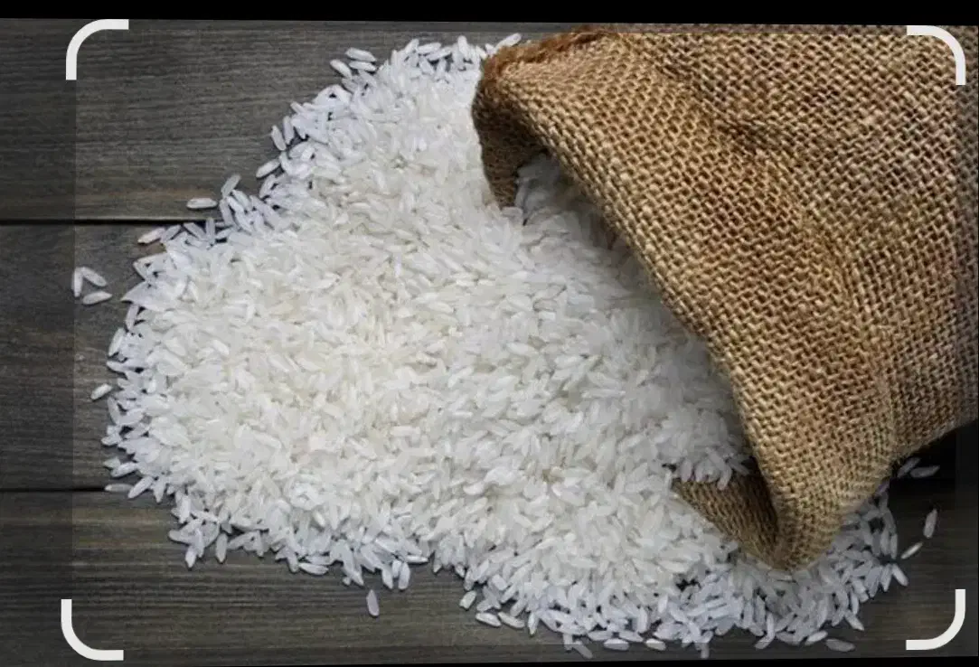 برنج طارم درجه یک|خوردنی و آشامیدنی|آمل, |دیوار