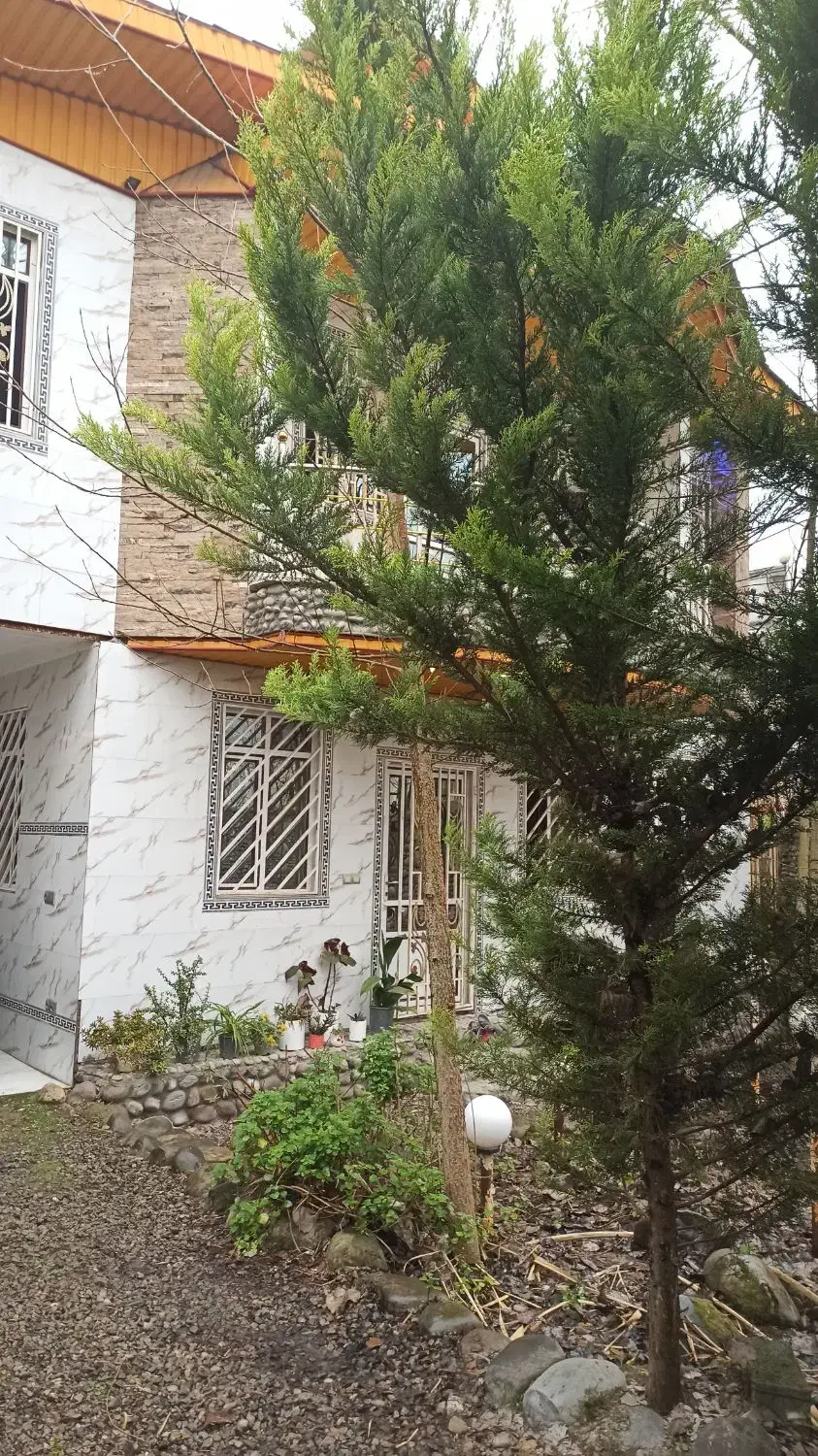 اجاره روزانه/هفتگی/ماهانه آپارتمان300 متری|اجارهٔ کوتاهمدت آپارتمان و سوئیت|آمل, |دیوار