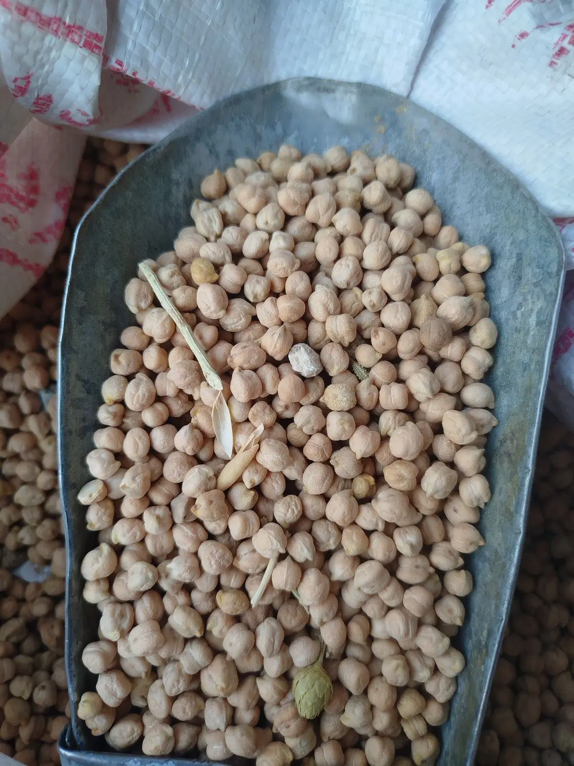 نخود|خوردنی و آشامیدنی|ارومیه, |دیوار