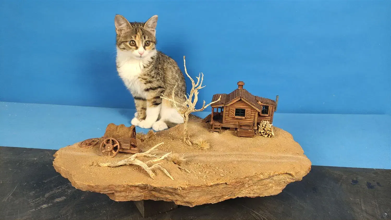 دیوراما وسترن رومیزی، دکوری، ماکت دستساز|مجسمه، تندیس، ماکت|اصفهان, عباس‌آباد|دیوار