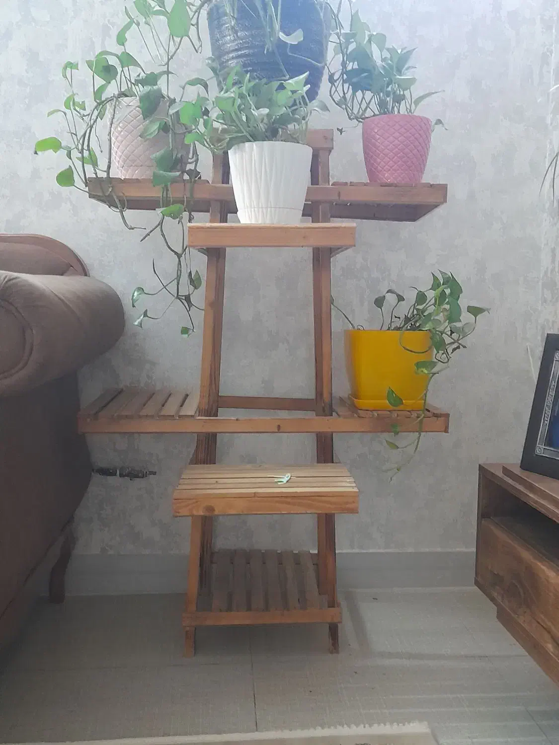 پایه گلدان|گل و گیاه طبیعی|مشهد, شفا|دیوار