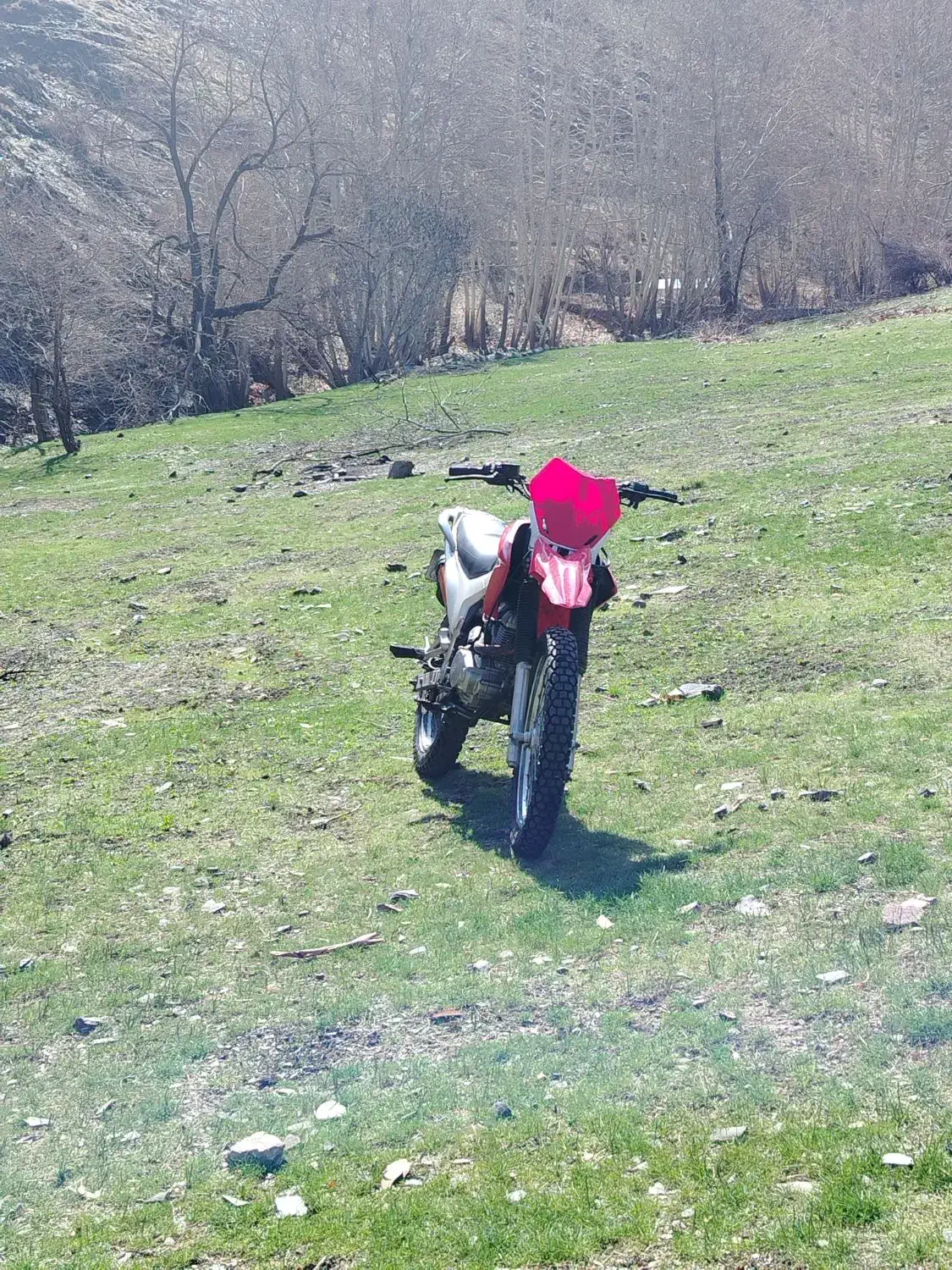 تریل فلات 200|موتورسیکلت|مشهد, شهید هاشمی نژاد|دیوار