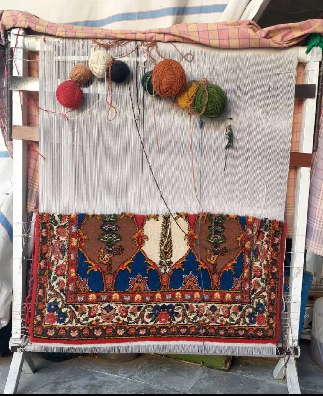 دار قالی همراه با قالیچه|فرش|کازرون, |دیوار