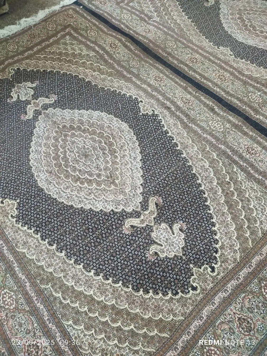 ۱۳ متن فرش افسری رنگ نونو هنوز پرداخت نشده|فرش|آستارا, |دیوار