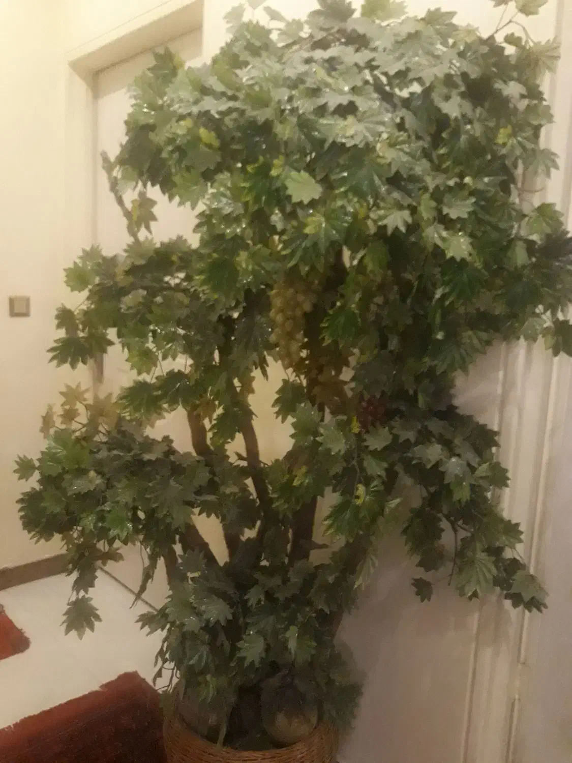 درخت انگور خارجی بزرگ|گل مصنوعی|تهران, ابوذر|دیوار