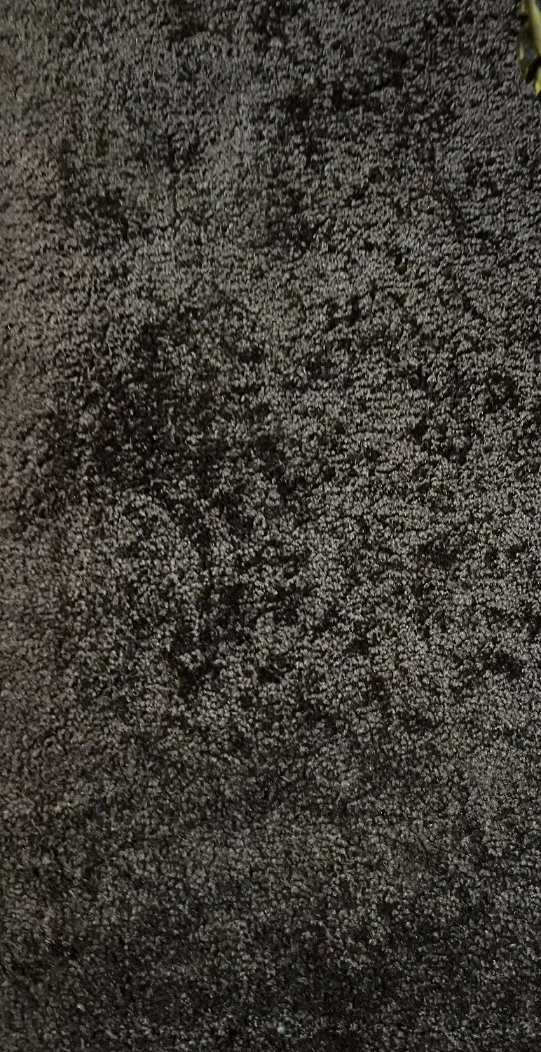 پالاز موکت|موکت|بندر امام خمینی, |دیوار