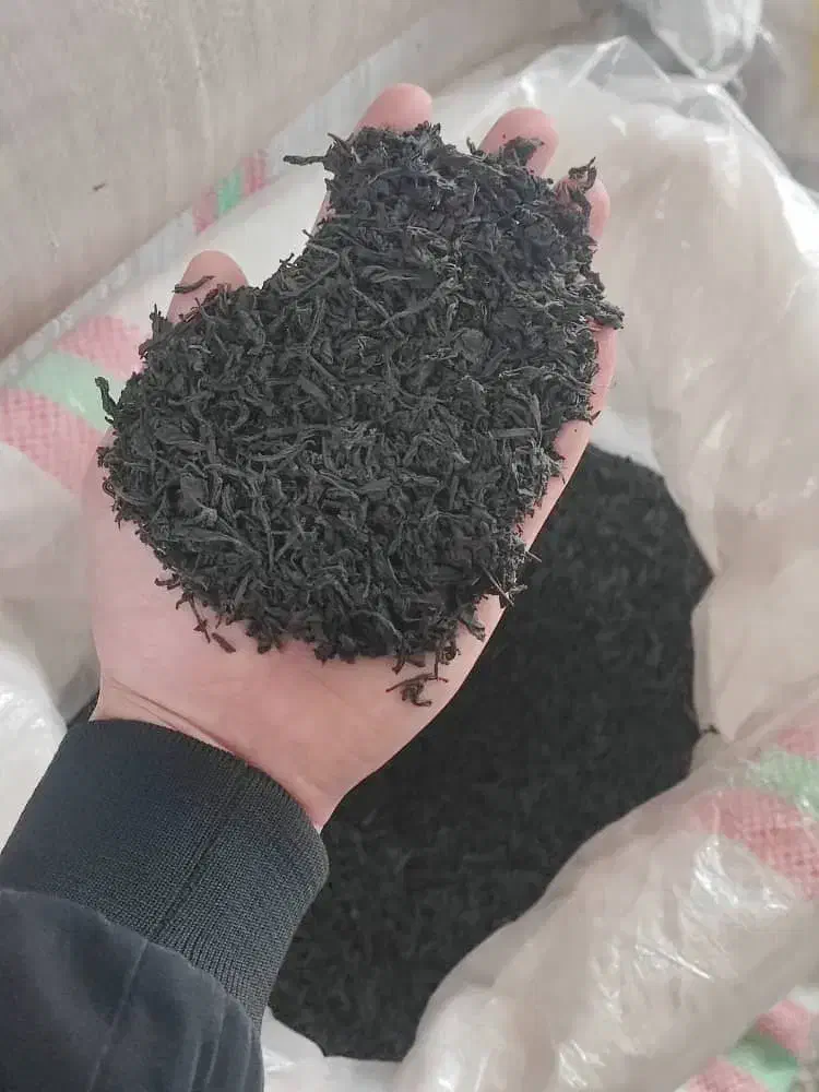 عرضه چای قلم بهاره|خوردنی و آشامیدنی|املش, |دیوار