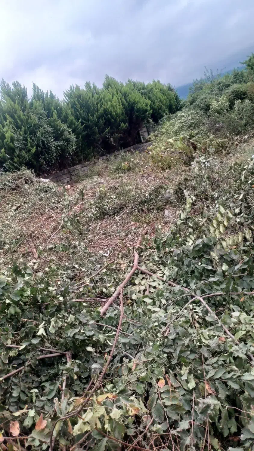 ۲۷۵متر زمین داخل بافت مسکونی ۴دیوار آماده ساخت|فروش زمین و ملک کلنگی|عباس‌آباد, |دیوار