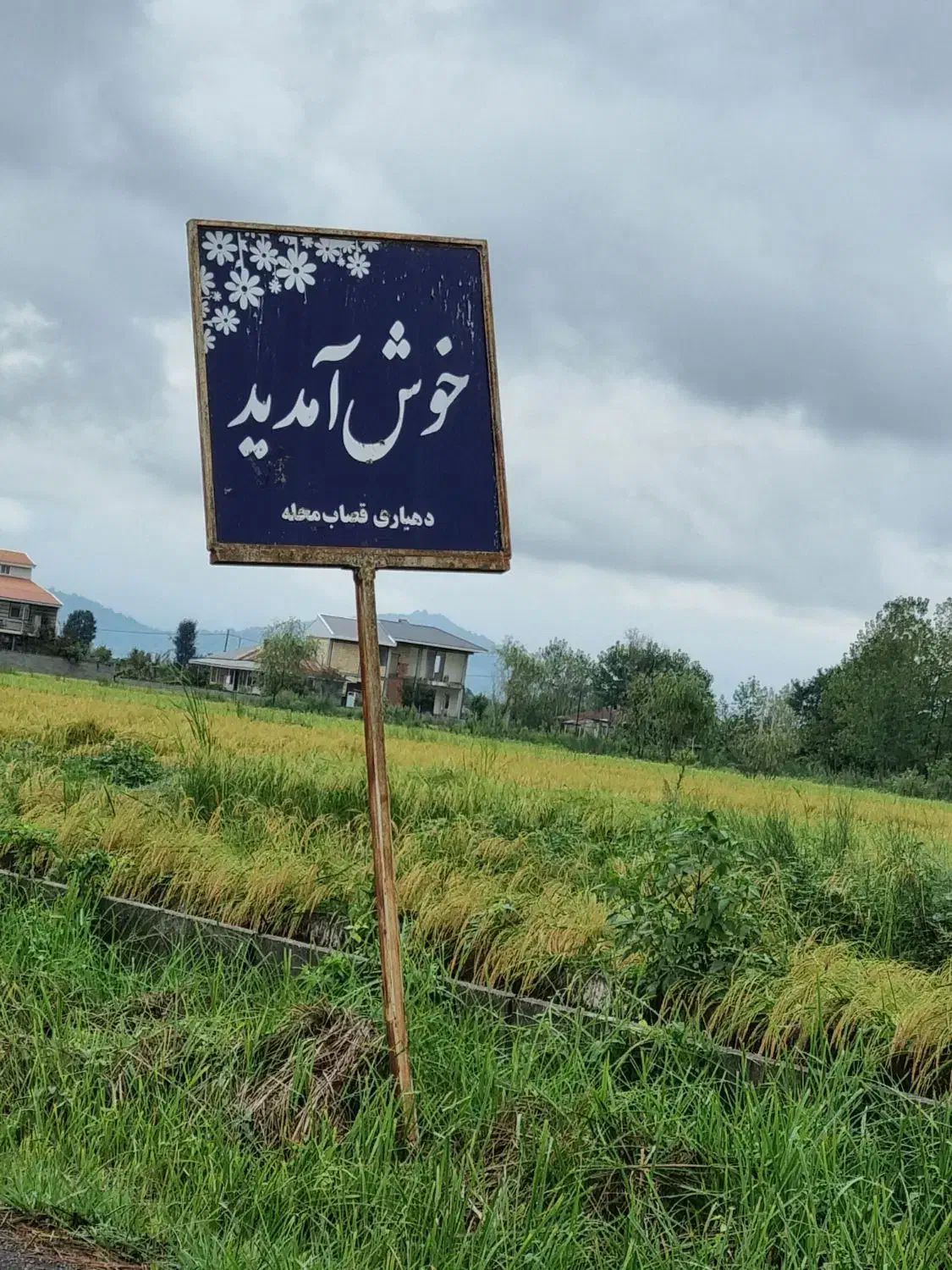 زمین شالزاری سنتی|فروش دفتر صنعتی، کشاورزی، تجاری|شفت, |دیوار