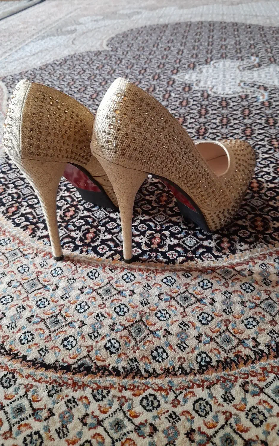 کفش مجلسی|کیف، کفش، کمربند|اردبیل, |دیوار