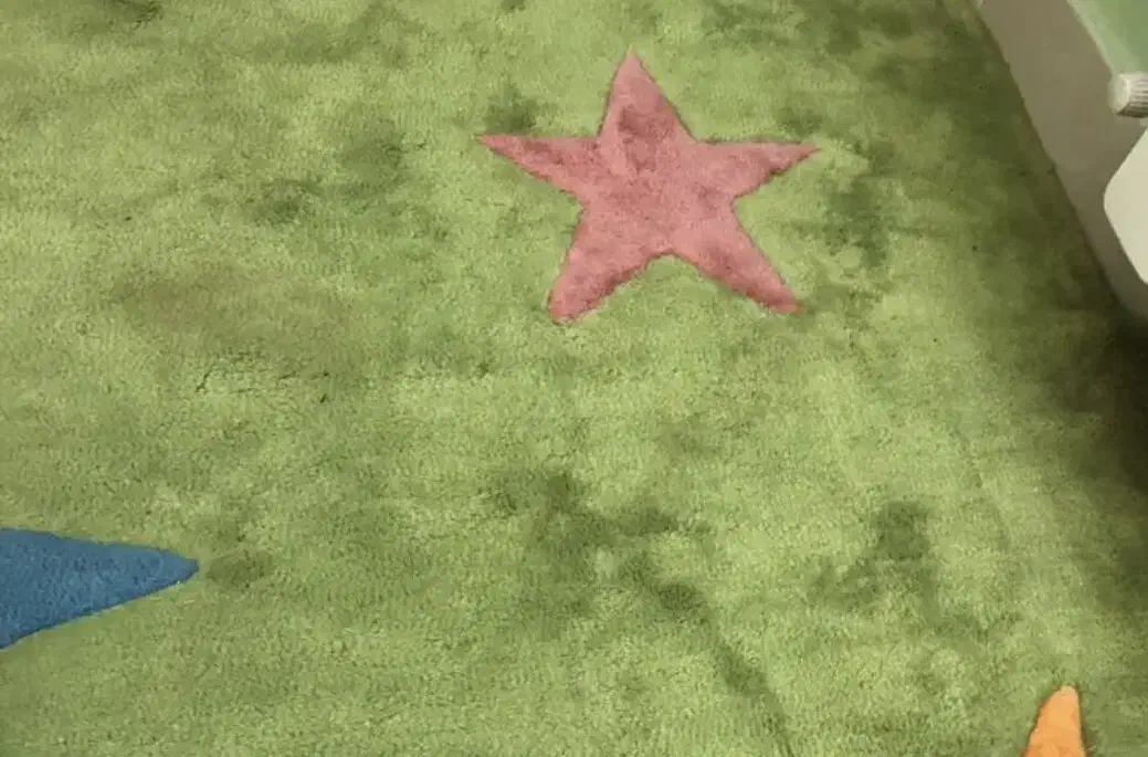 فرش|فرش|تهران, هفده شهریور|دیوار