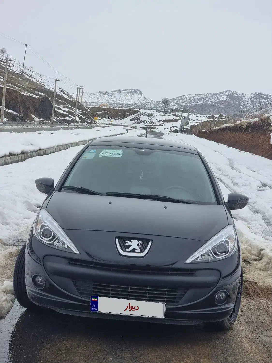 ۲۰۷|خودرو سواری و وانت|مریوان, |دیوار