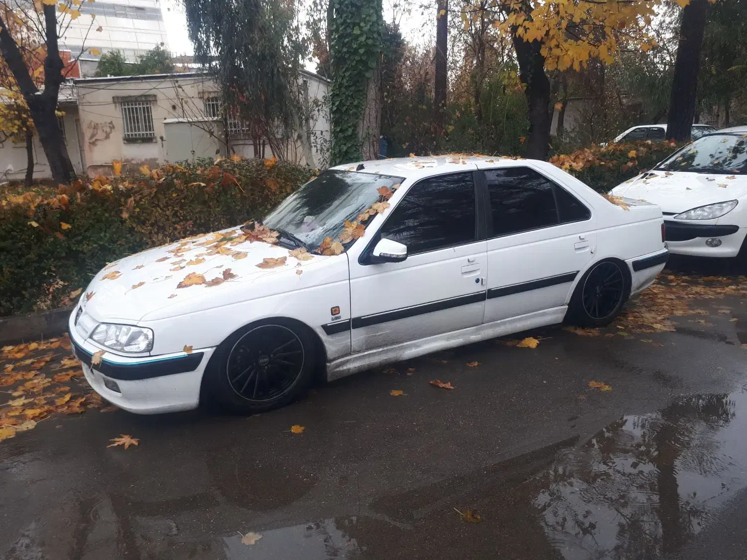 پنوماتیک پژو|قطعات یدکی و لوازم جانبی|شیراز, بالا کفت|دیوار