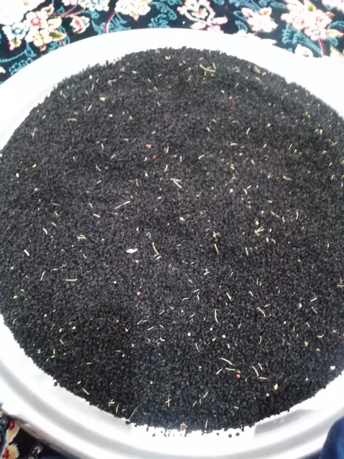 فروش. بذر. پیاز.|گل و گیاه طبیعی|مریوان, |دیوار