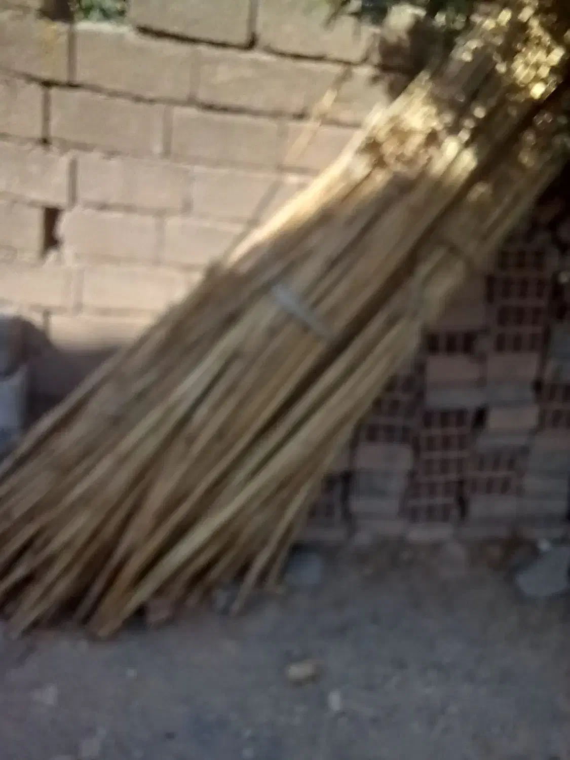 نی تمیز و پاک شده|سازهای سنتی|ایوان, |دیوار